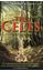 Picture of A BRIEF HISTORY OF THE CELTS (BRIEF HISTORIES)