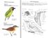 Picture of A FIELD GUIDE TO THE BIRDS OF BORNEO