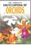 Picture of COMPLETE ENCYCLOPEDIA OF ORCHID